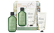 Baylis & Harding Wellness. Energise